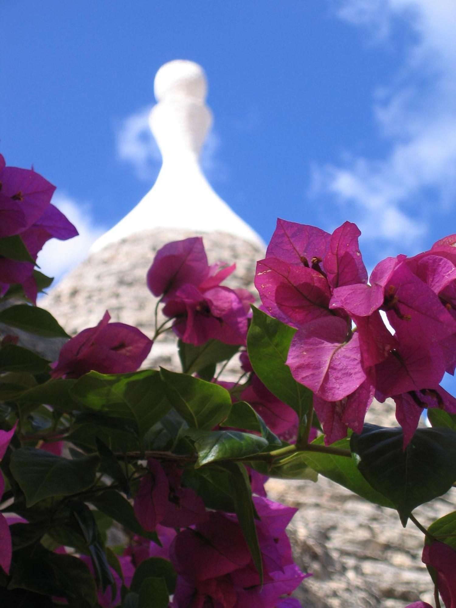 דירות אלברובלו Vacanza In Puglia מראה חיצוני תמונה