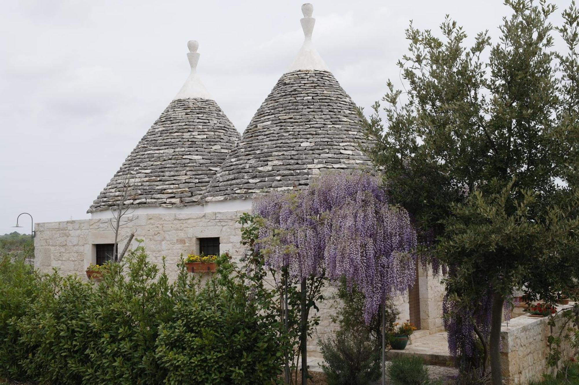 דירות אלברובלו Vacanza In Puglia מראה חיצוני תמונה