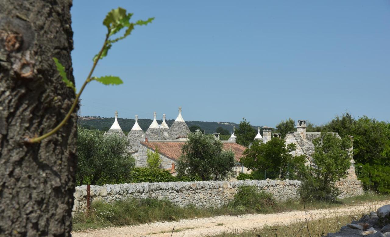 דירות אלברובלו Vacanza In Puglia מראה חיצוני תמונה